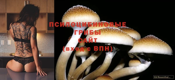 крисы Верея