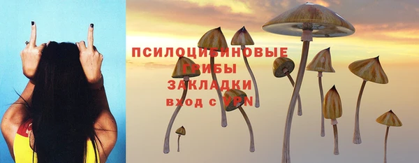 крисы Верея