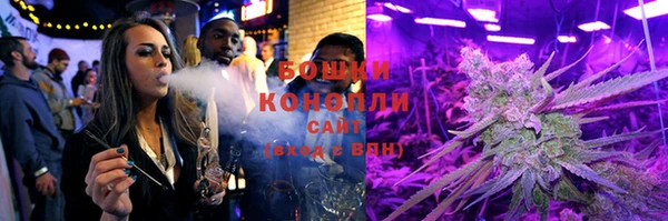 крисы Верея