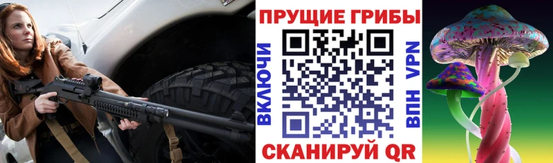 Галлюциногенные грибы GOLDEN TEACHER  Купить закладки  Нерюнгри 